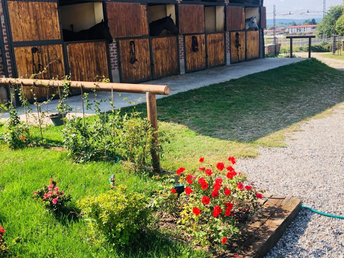B&B Tenuta Legnate 塞斯托卡伦代 外观 照片